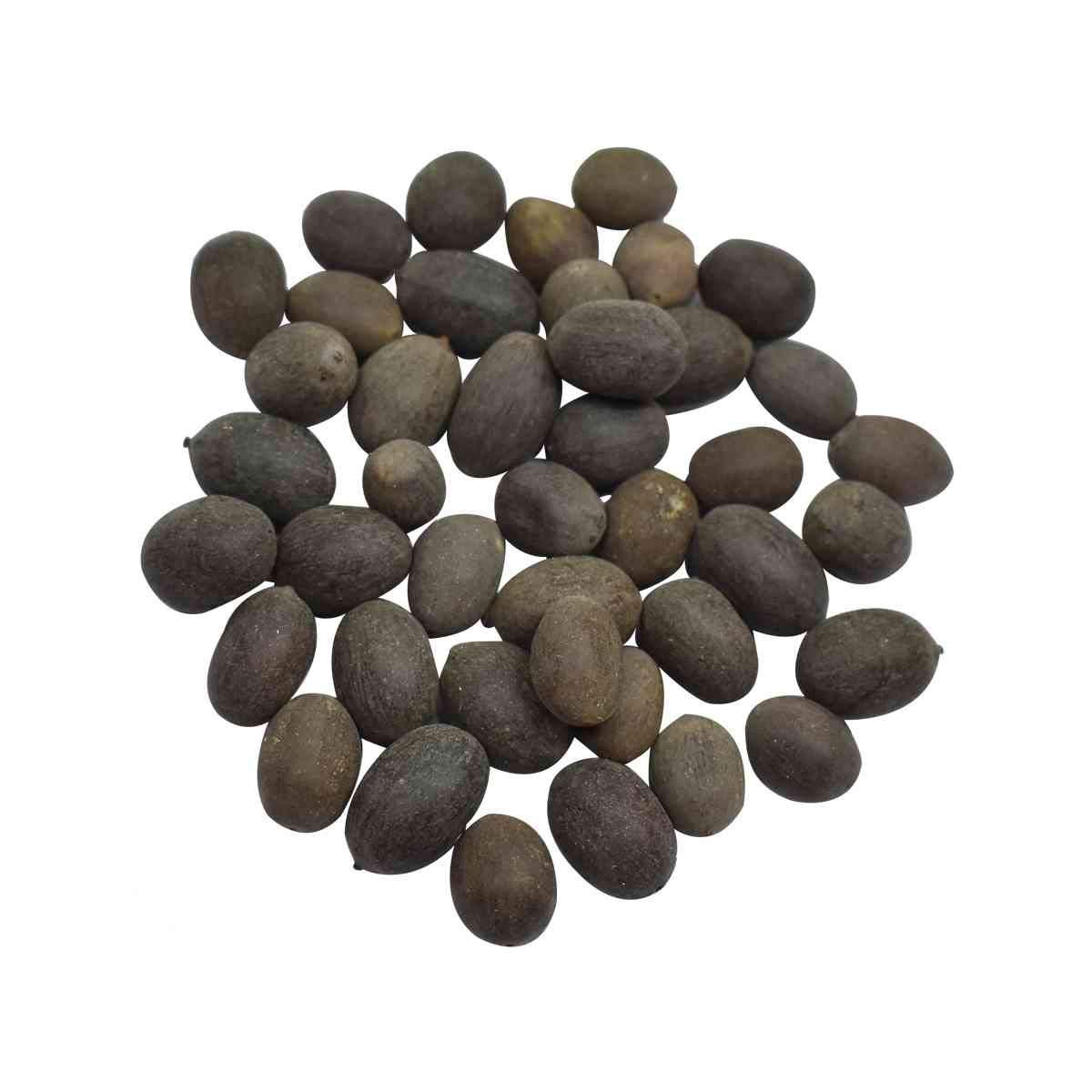Kamal Gatta Seeds | Lotus Seeds 108 pcs | For Raw Lotus Seeds (for Pooja, Laxmi Havan, Home Gardening) | Svv Organics 24 | (Pack of 108 pcs)